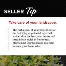 Load image into Gallery viewer, Seller Tips - Social Content Bundle